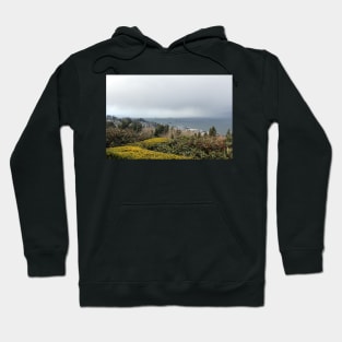 view from the Astoria Column Astoria–Megler Bridge 3 Hoodie